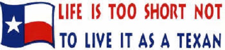 Life is too short Bumper Sticker