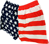 American Flag Mens Swim Trunks