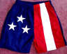 American Flag Adult Walking Shorts