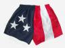 American Flag Adult Jogging Shorts