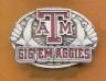 Texas A & M Belt buckle