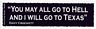 Davy Crockett Quote bumper sticker