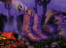 Cowboy with boots by fire Christmas Card