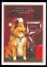 Texas A & M Reveille Christmas Card
