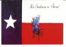 Texas Flag Christmas Card