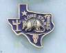 Texas shaped blue enameled and silver belt buckle