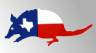 Texas flag armadillo Bumper Decal