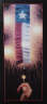 Print Texas Firecracker Flag