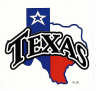 Square shape of Texas Flag Decal