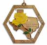 Keep Texas Beautiful Christmas Ornament - Edition 8