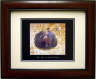 San Jacinto Battle Flag Framed Print