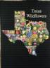 Texas Wildflower Print