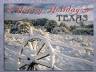 Happy Holidays Texas Christmas Card