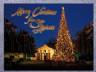 1060741 Merry Christmas from San Antonio Christmas Card