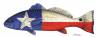 Salt Water Texas  Redfish
