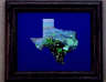 Texas Shape Cut Out Bluebonnet Picture
