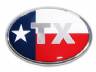 Texas Flag Oval Chrome Emblem